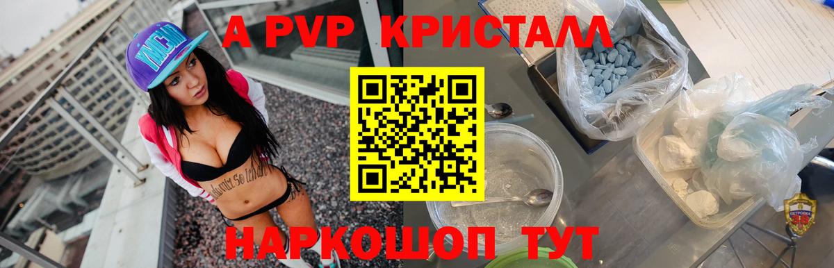 A PVP СК Белгород