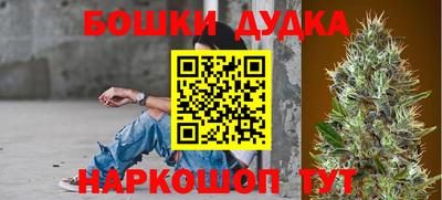 прущие грибы Чебоксары
