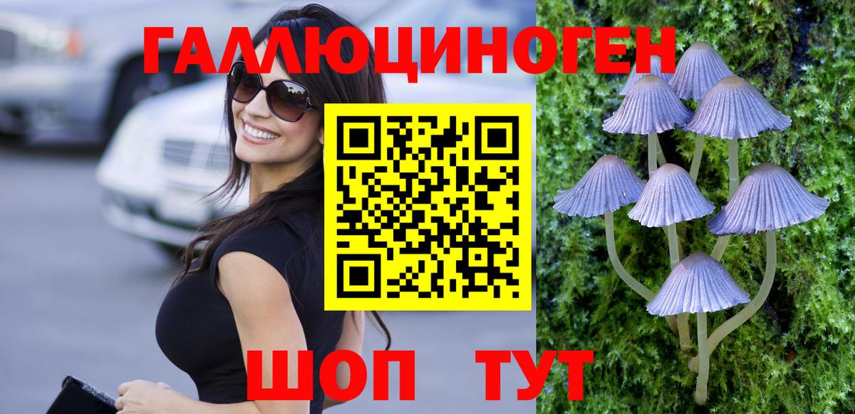 Галлюциногенные грибы GOLDEN TEACHER  Галлюциногенные грибы прущие грибы  Белгород  Вход с VPN 