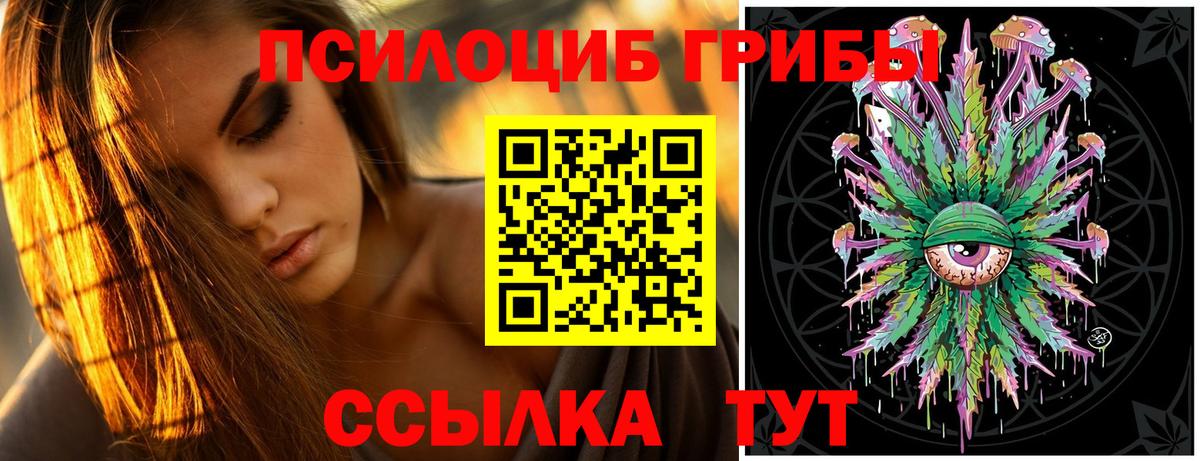 Галлюциногенные грибы Cubensis Белгород